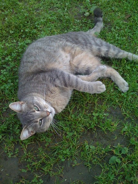 Slowenien 2010_80.jpg